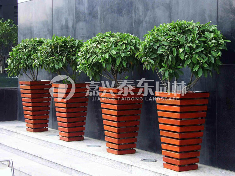 1689228147858996.jpg 55da5e10-2ba3-11eb-a67a-21c5b5c28f86.jpg